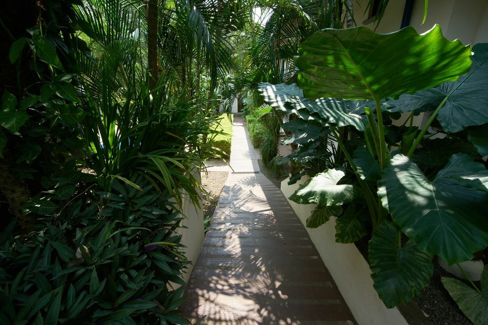 Tamarindo Blue Apartments Exterior photo